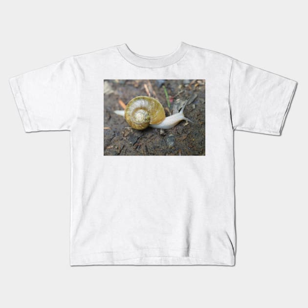 Haplotrema vancouverense snail Kids T-Shirt by SDym Photography